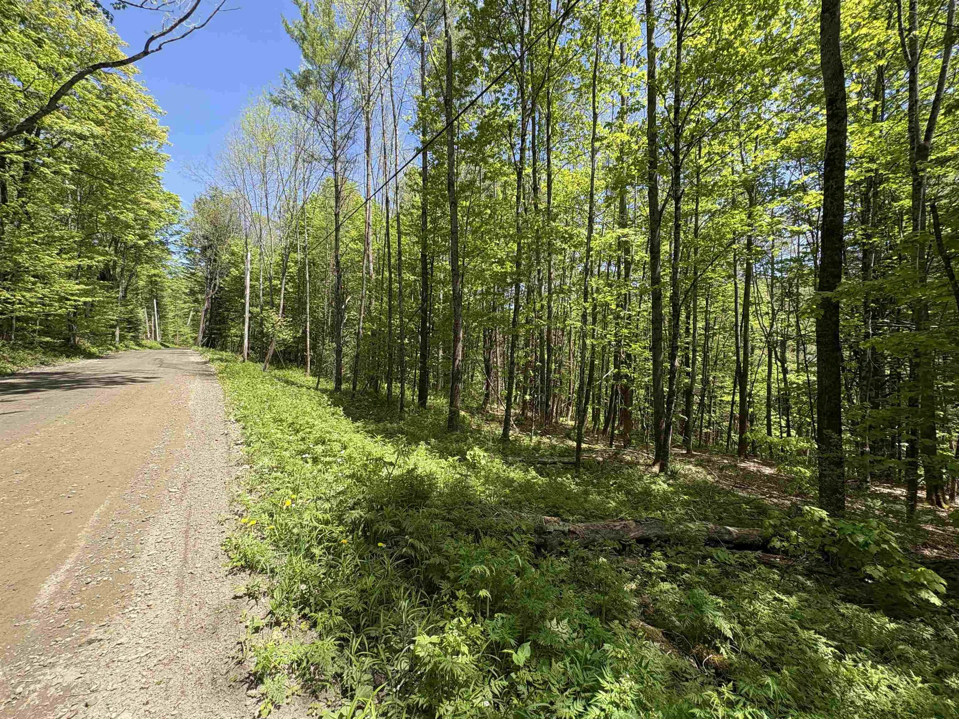 0000 Bear Hill Road Brookfield VT 05036