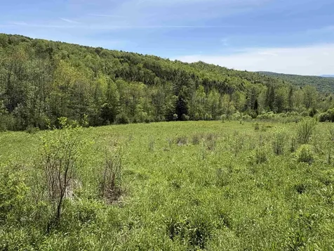 0000 Bear Hill Road Brookfield VT 05036