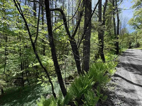0000 Bear Hill Road Brookfield VT 05036