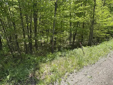 0000 Bear Hill Road Brookfield VT 05036
