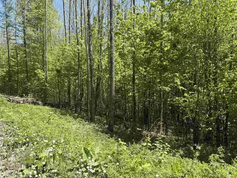0000 Bear Hill Road Brookfield VT 05036