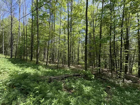0000 Bear Hill Road Brookfield VT 05036
