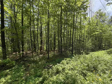 0000 Bear Hill Road Brookfield VT 05036