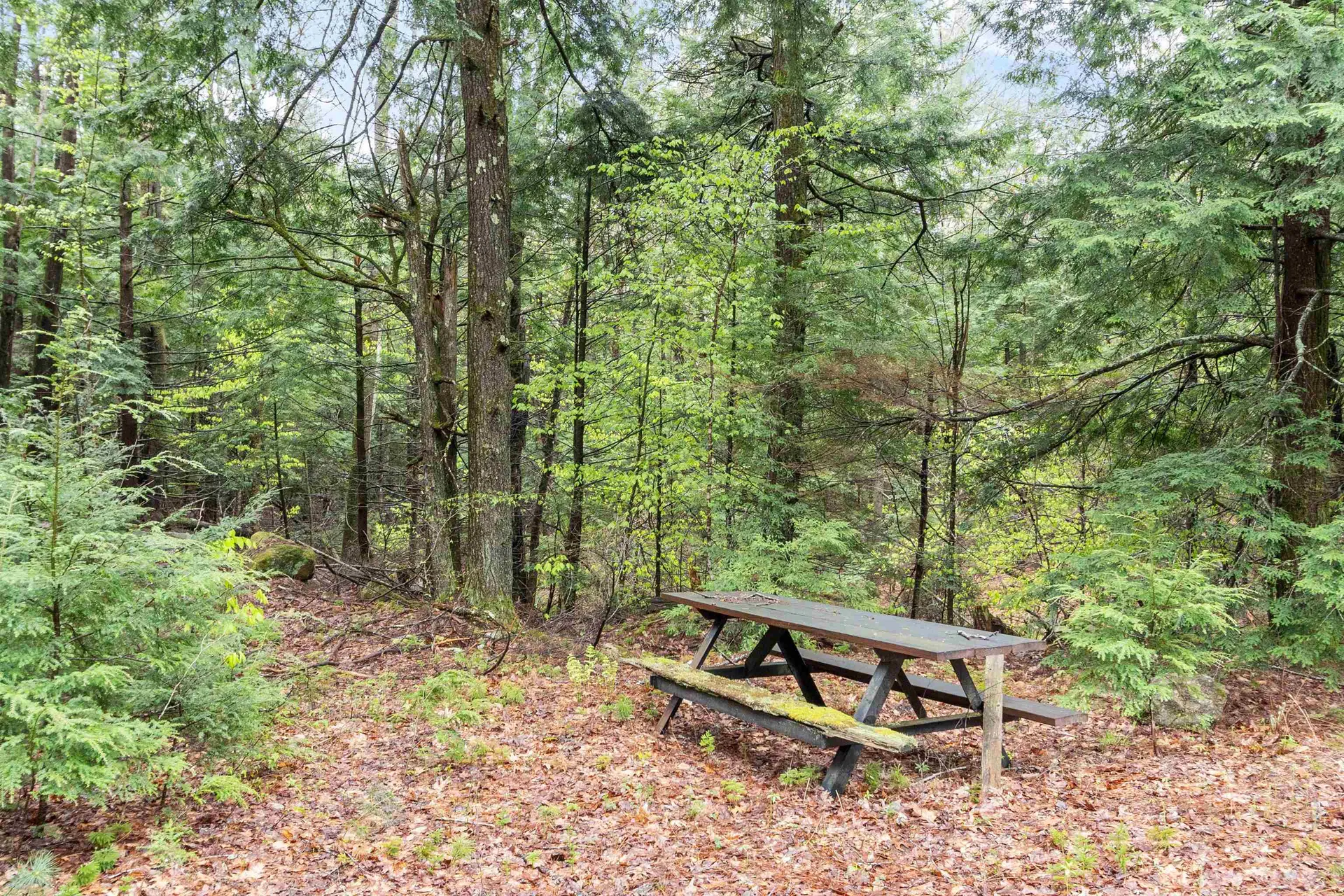 42 Bowl Road Richmond NH 03470