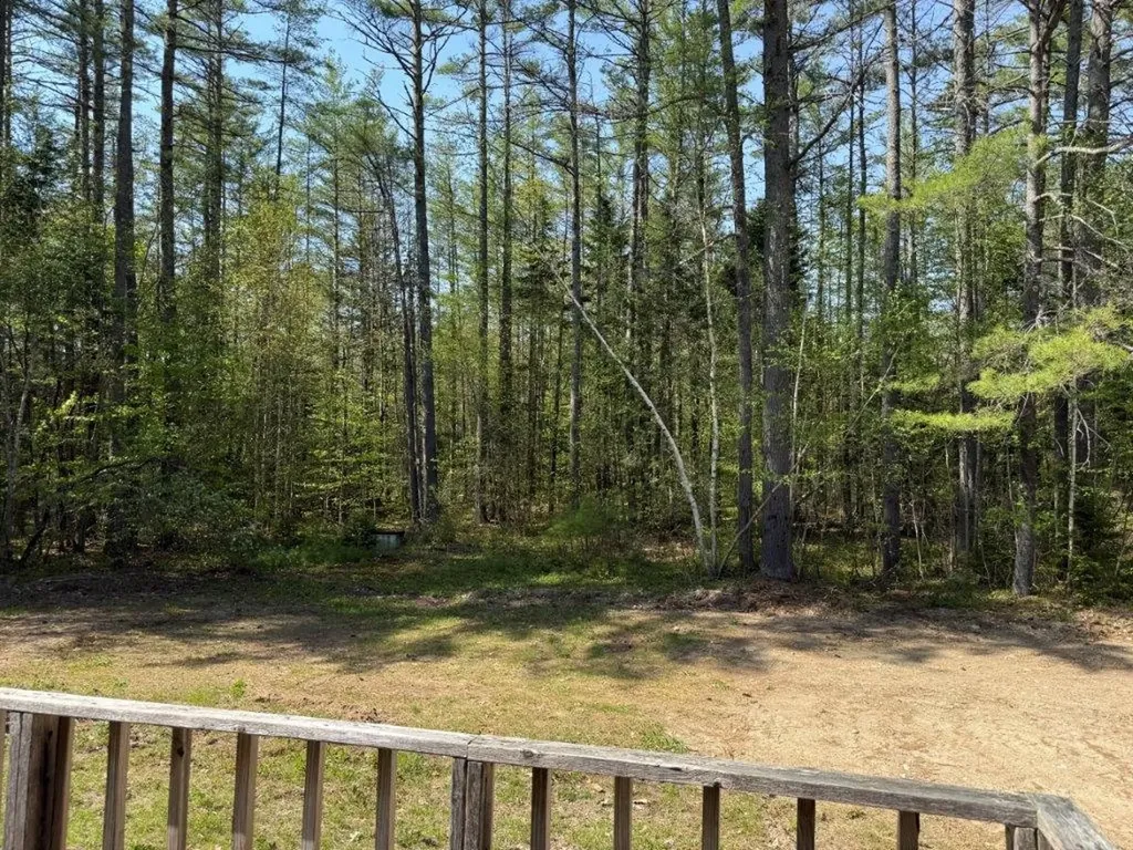48 Spa Road Danbury NH 03230