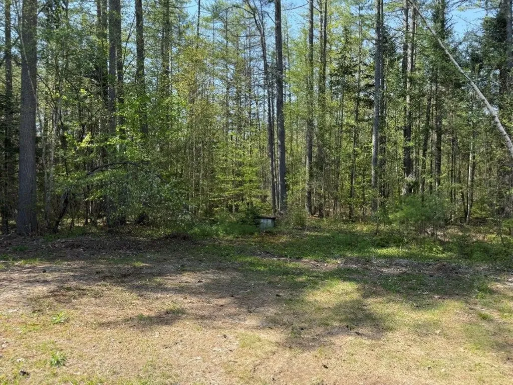 48 Spa Road Danbury NH 03230