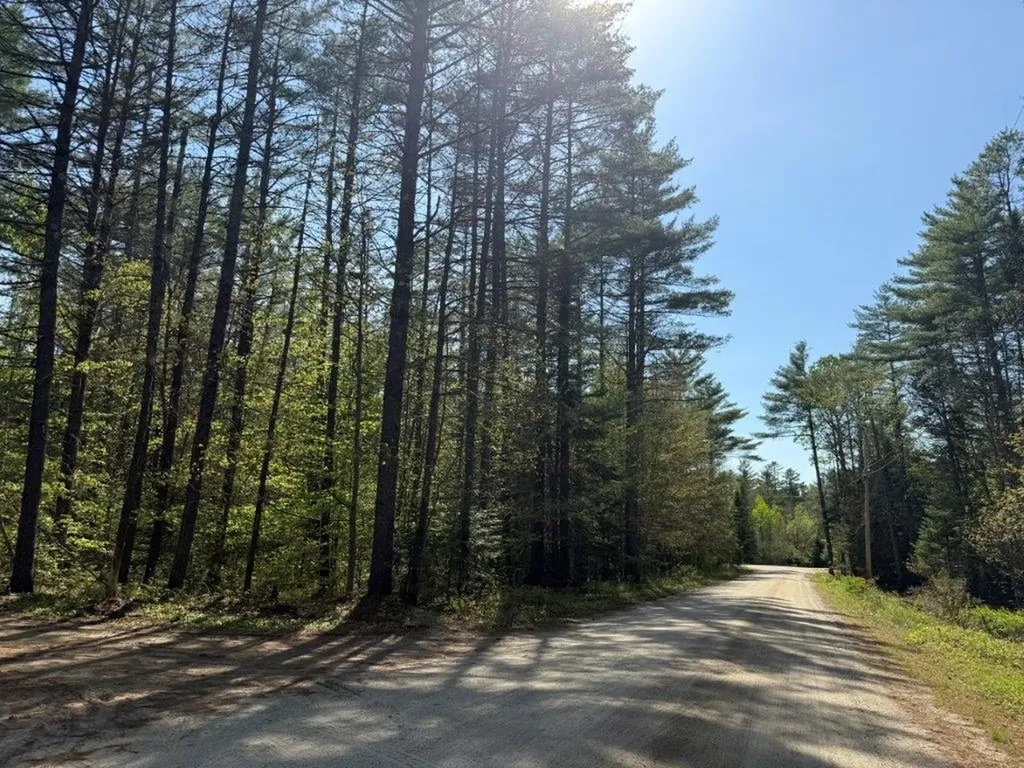 48 Spa Road Danbury NH 03230