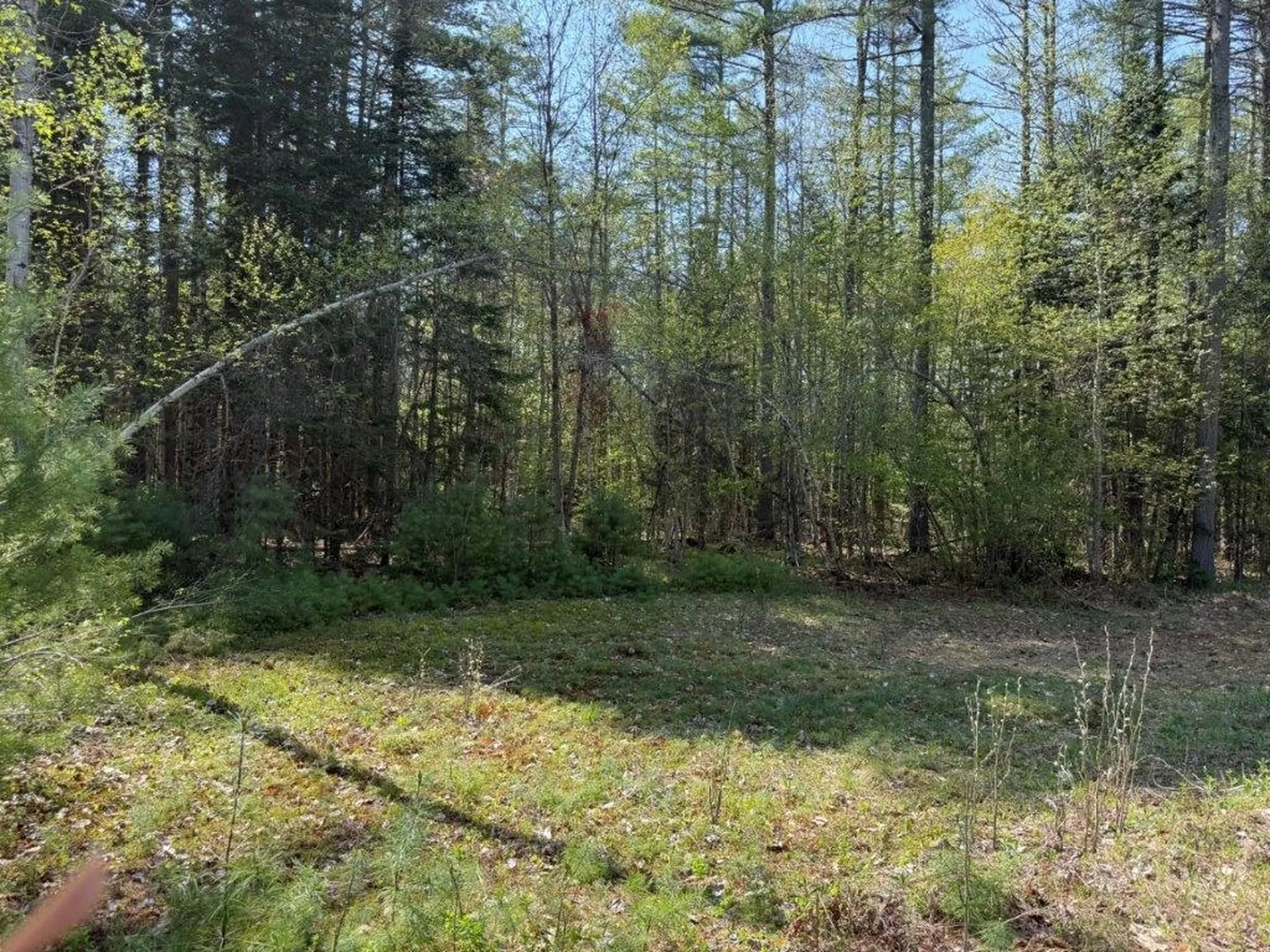48 Spa Road Danbury NH 03230