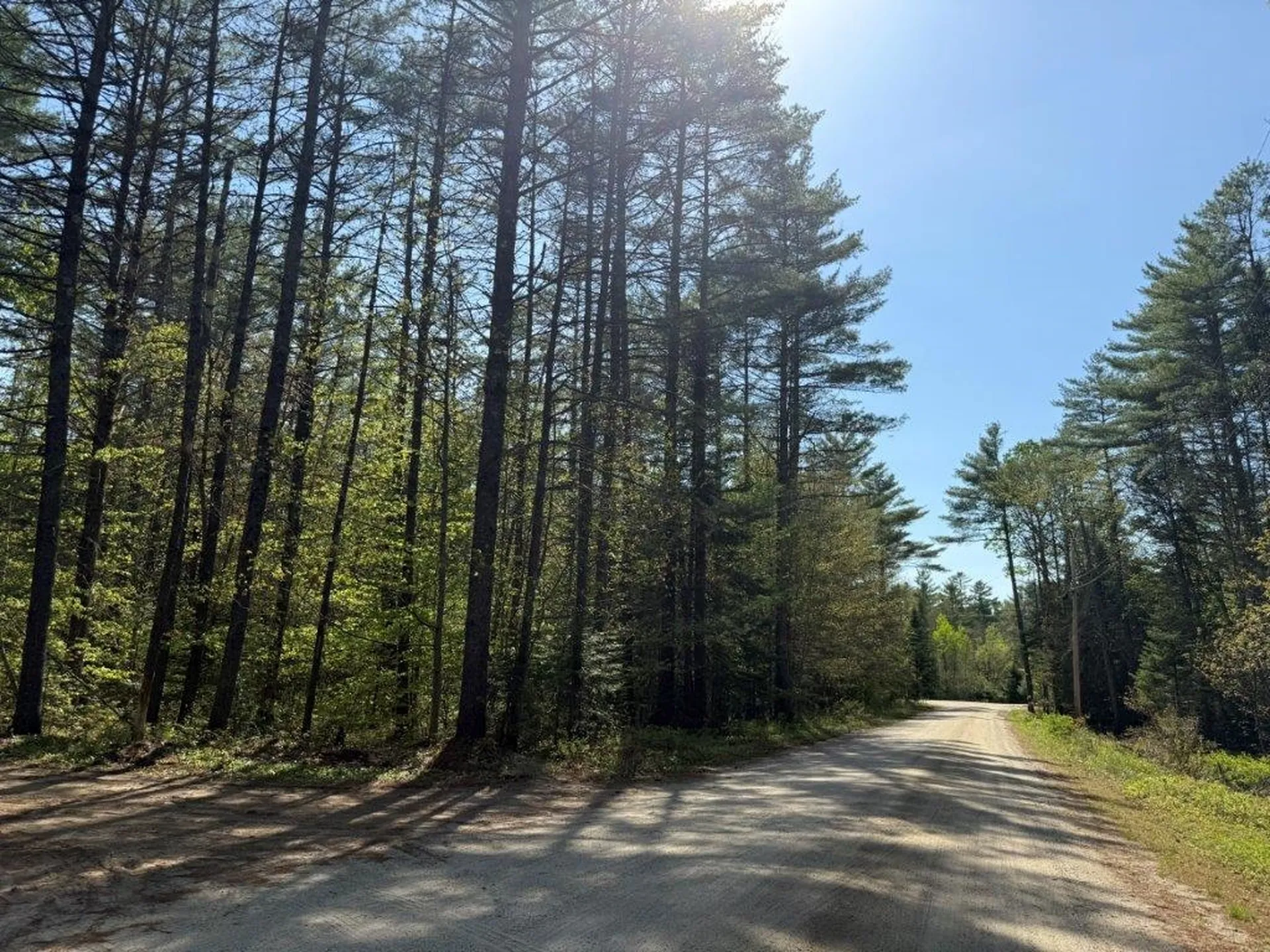 48 Spa Road Danbury NH 03230