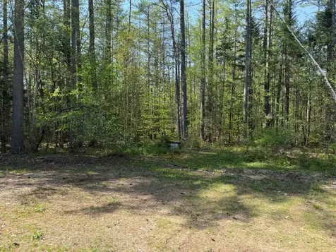 48 Spa Road Danbury NH 03230
