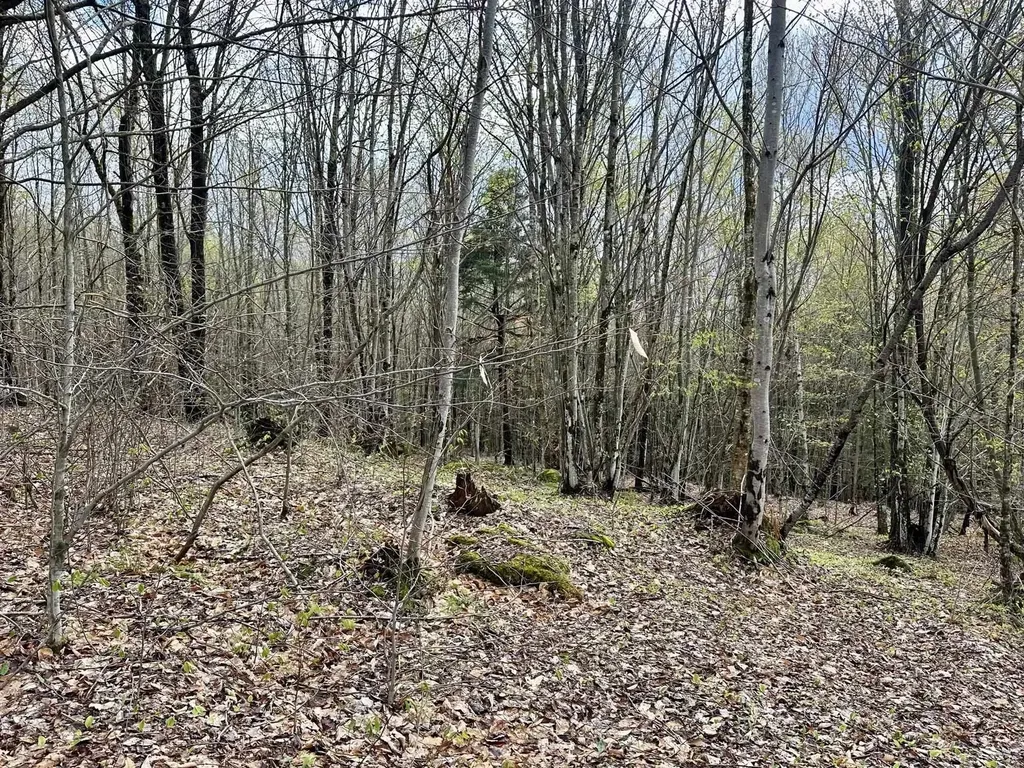 0 Brookview Lane Wolcott VT 05680
