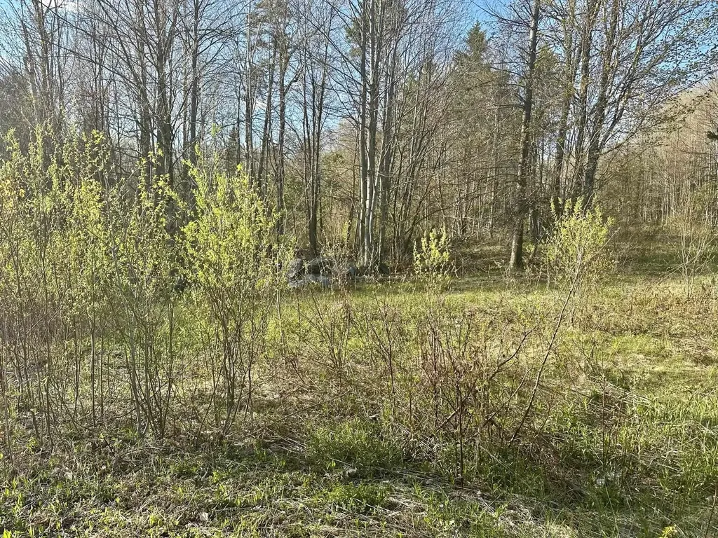 0 Brookview Lane Wolcott VT 05680