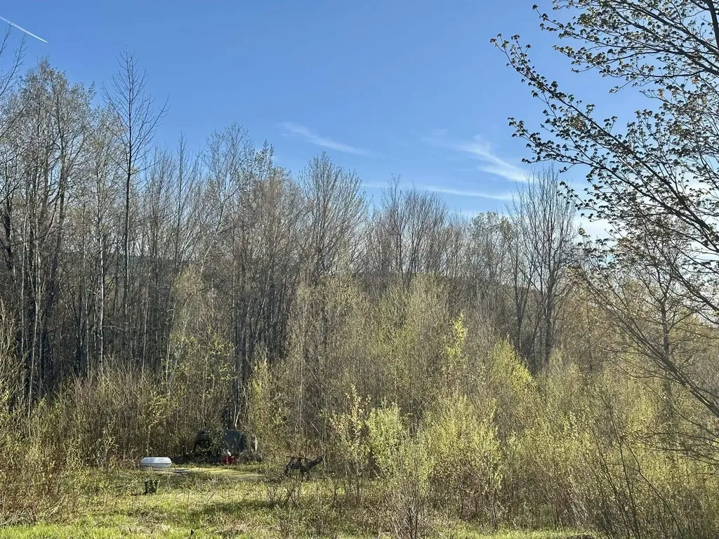 0 Brookview Lane Wolcott VT 05680