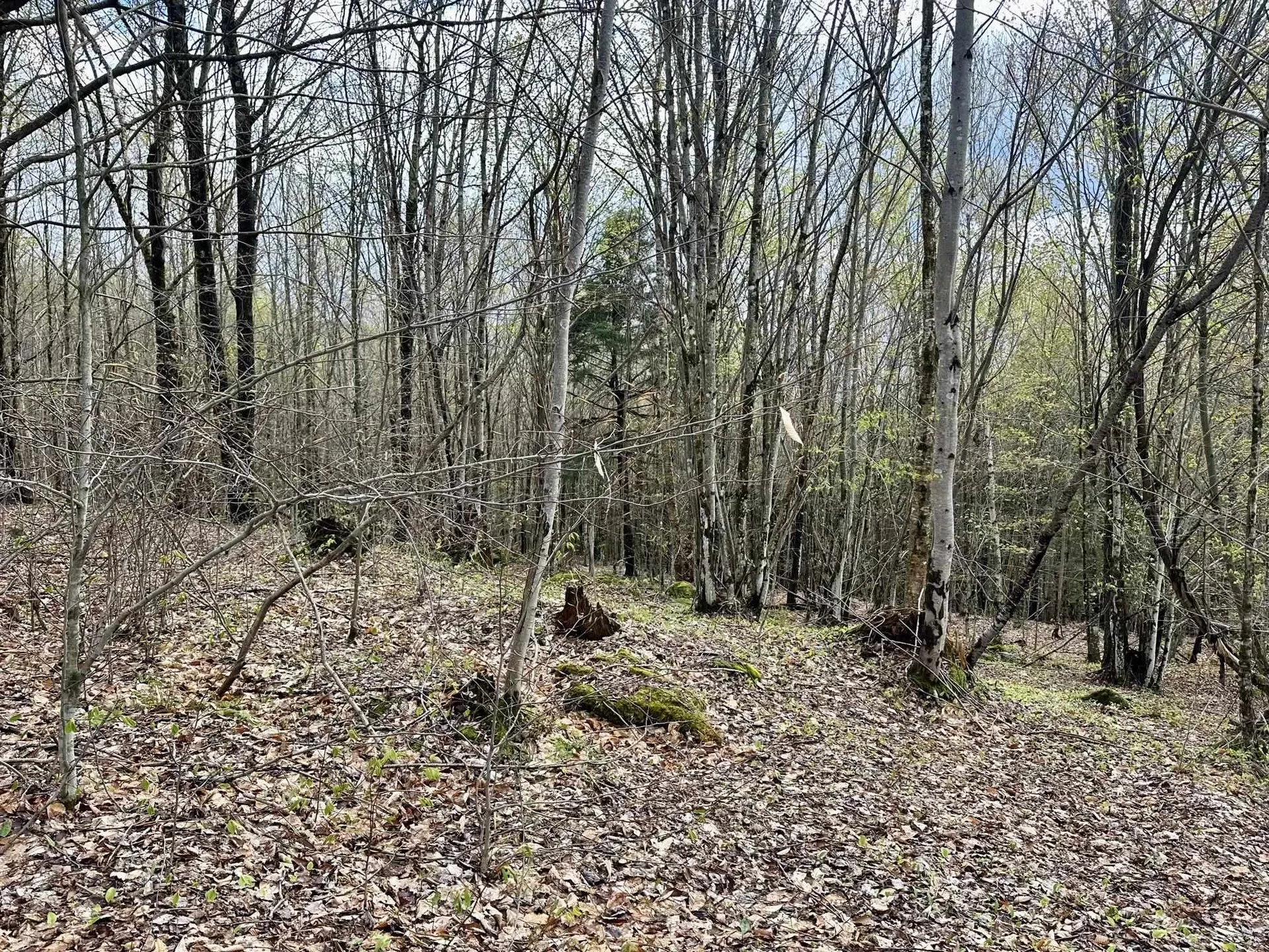 0 Brookview Lane Wolcott VT 05680