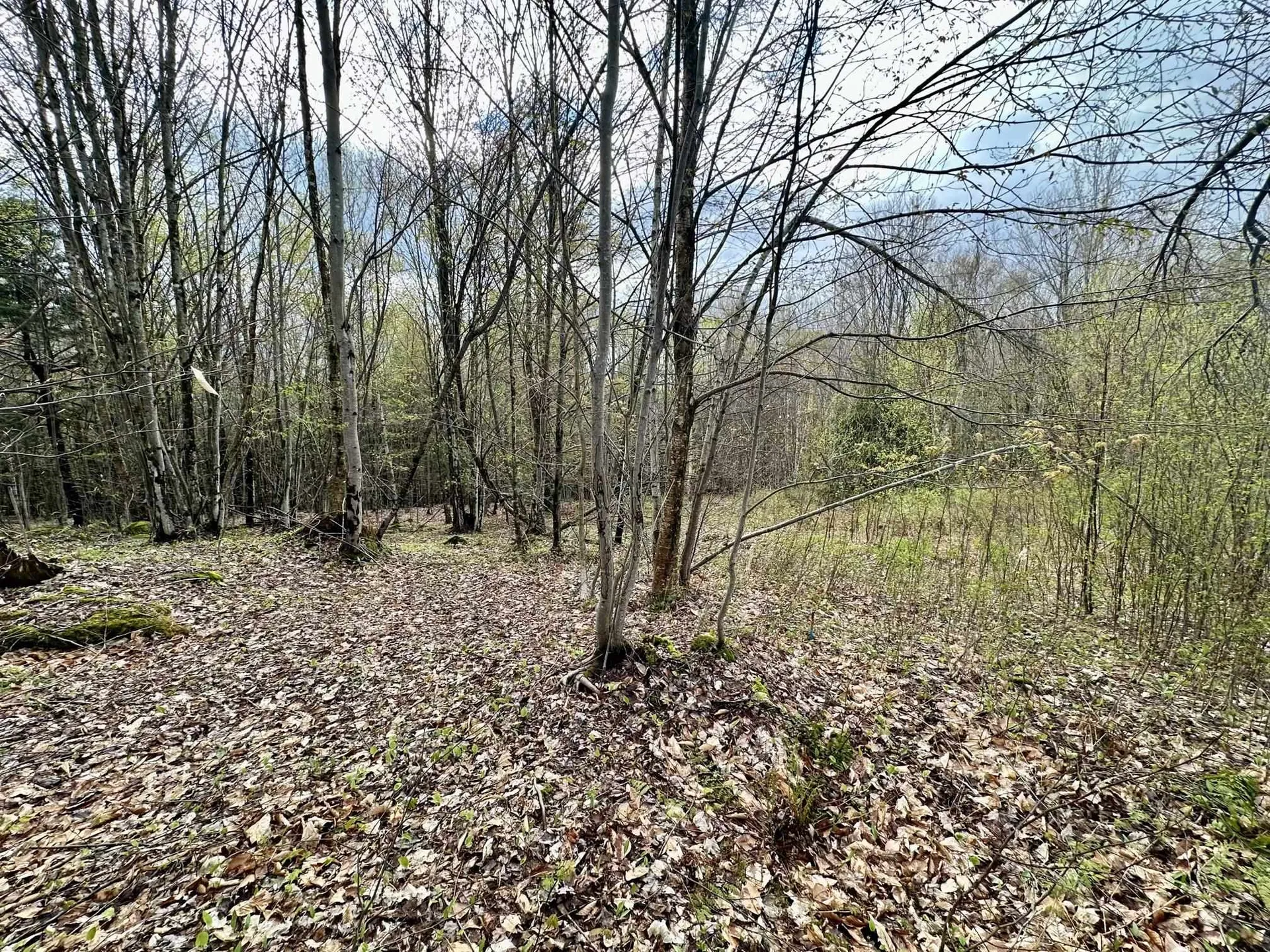 0 Brookview Lane Wolcott VT 05680