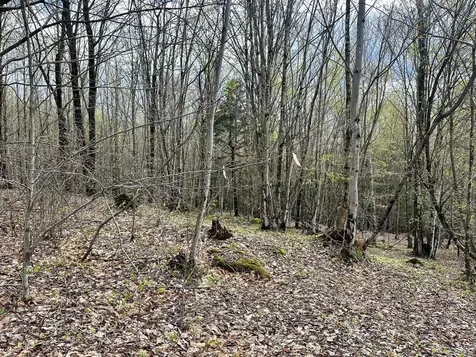 0 Brookview Lane Wolcott VT 05680