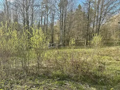 0 Brookview Lane Wolcott VT 05680
