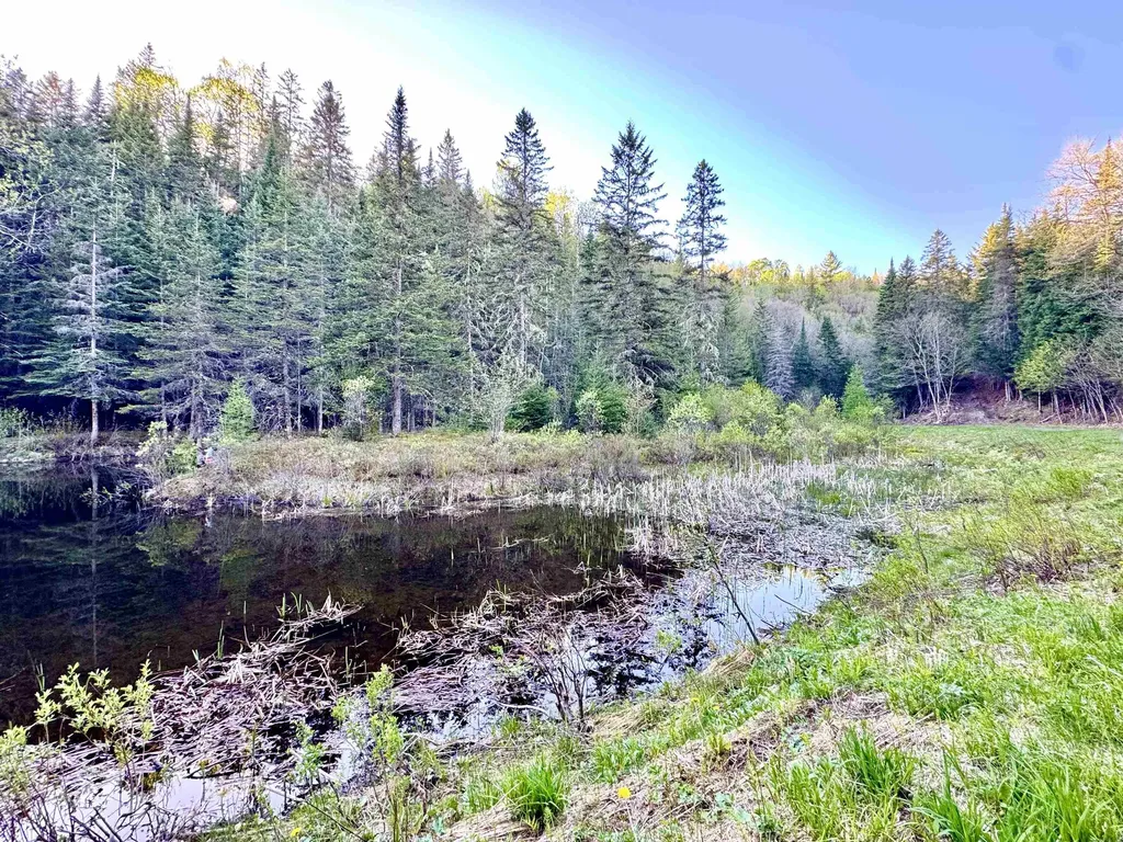 Lot 8 Gulch Brook Road Stewartstown NH 03576
