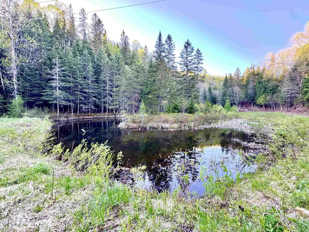 Lot 8 Gulch Brook Road Stewartstown NH 03576