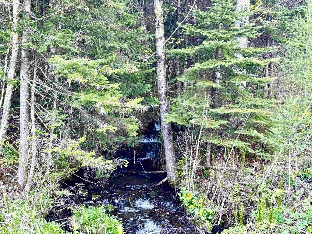 Lot 8 Gulch Brook Road Stewartstown NH 03576