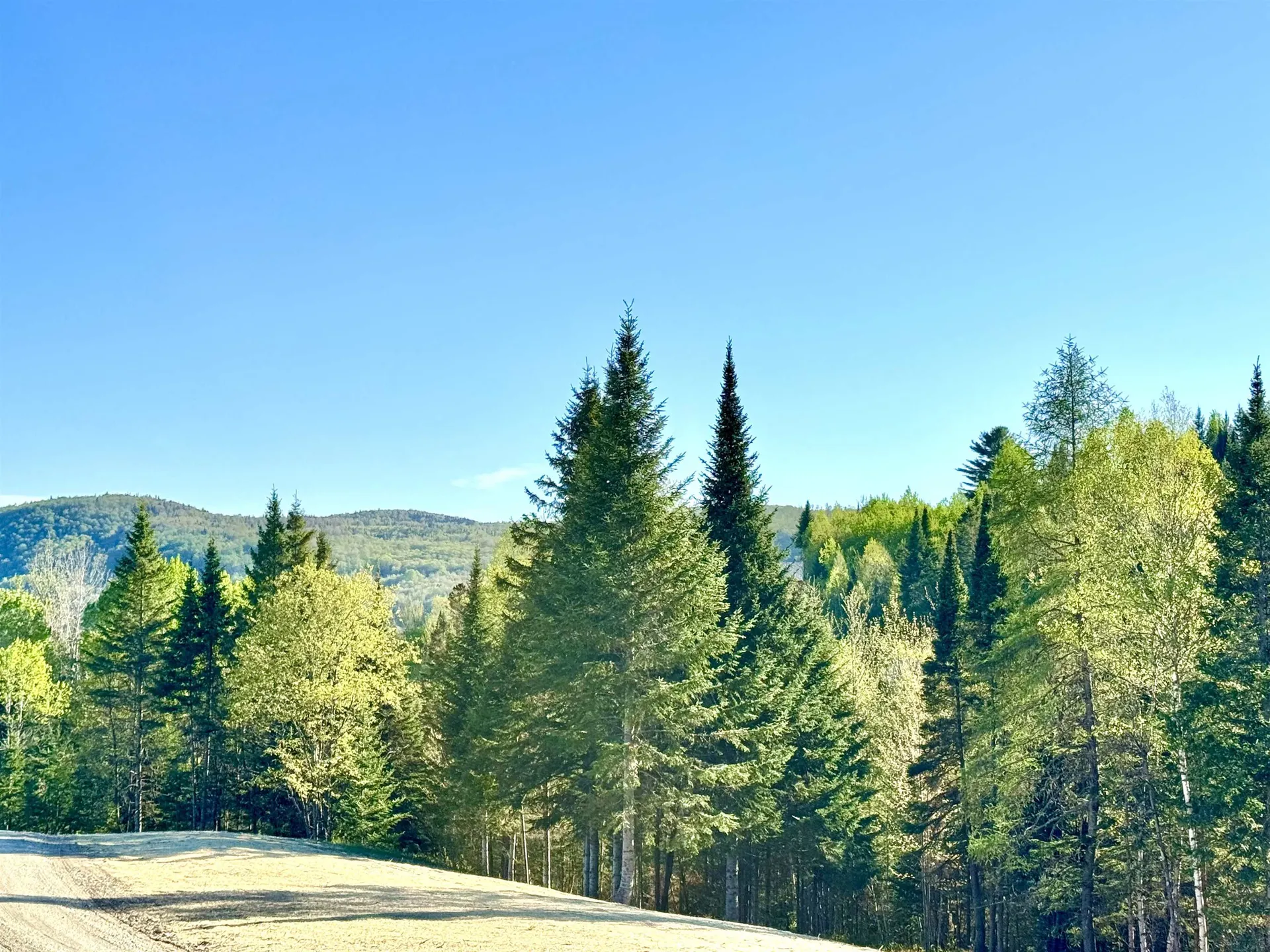 Lot 8 Gulch Brook Road Stewartstown NH 03576