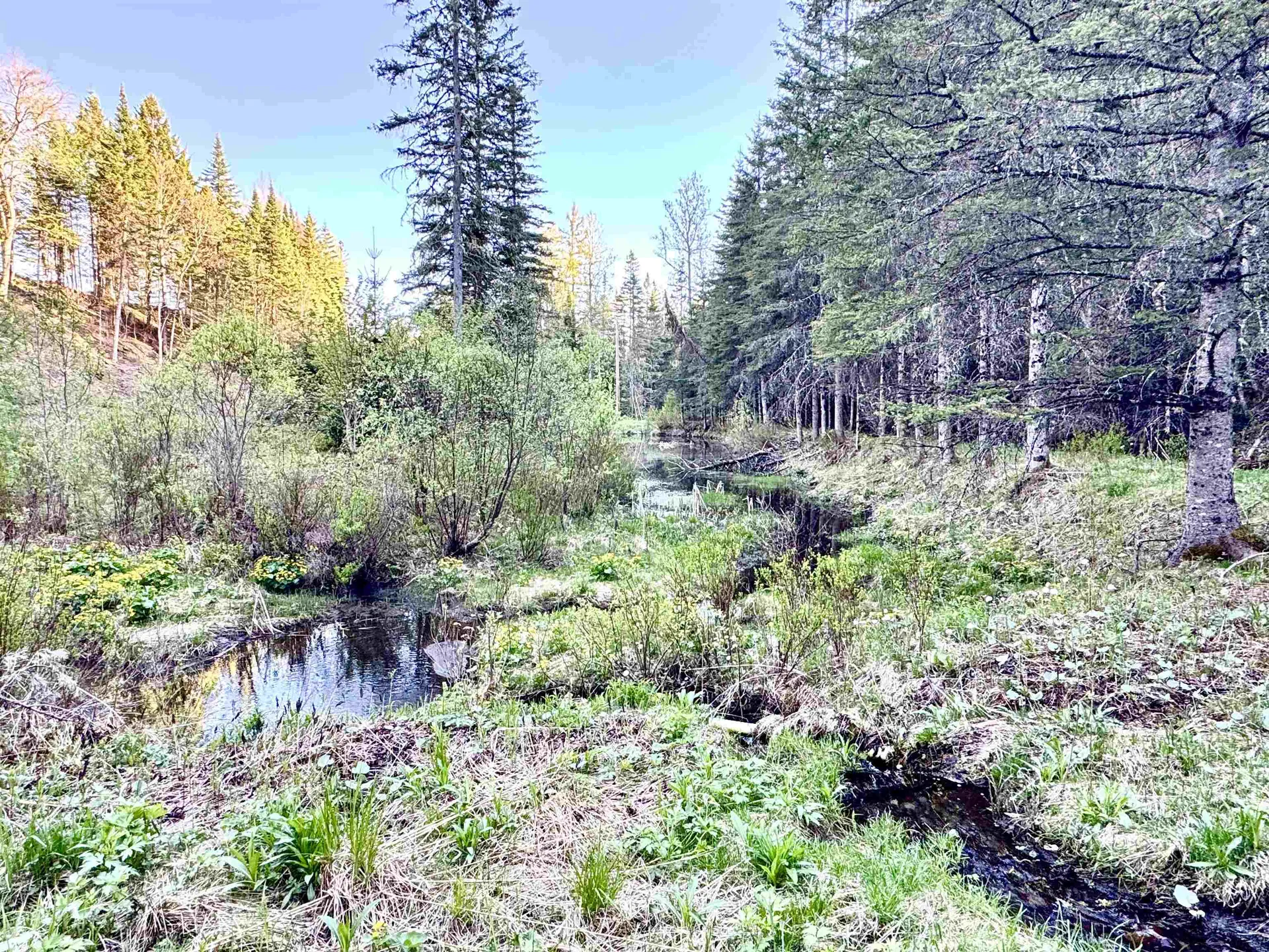 Lot 8 Gulch Brook Road Stewartstown NH 03576