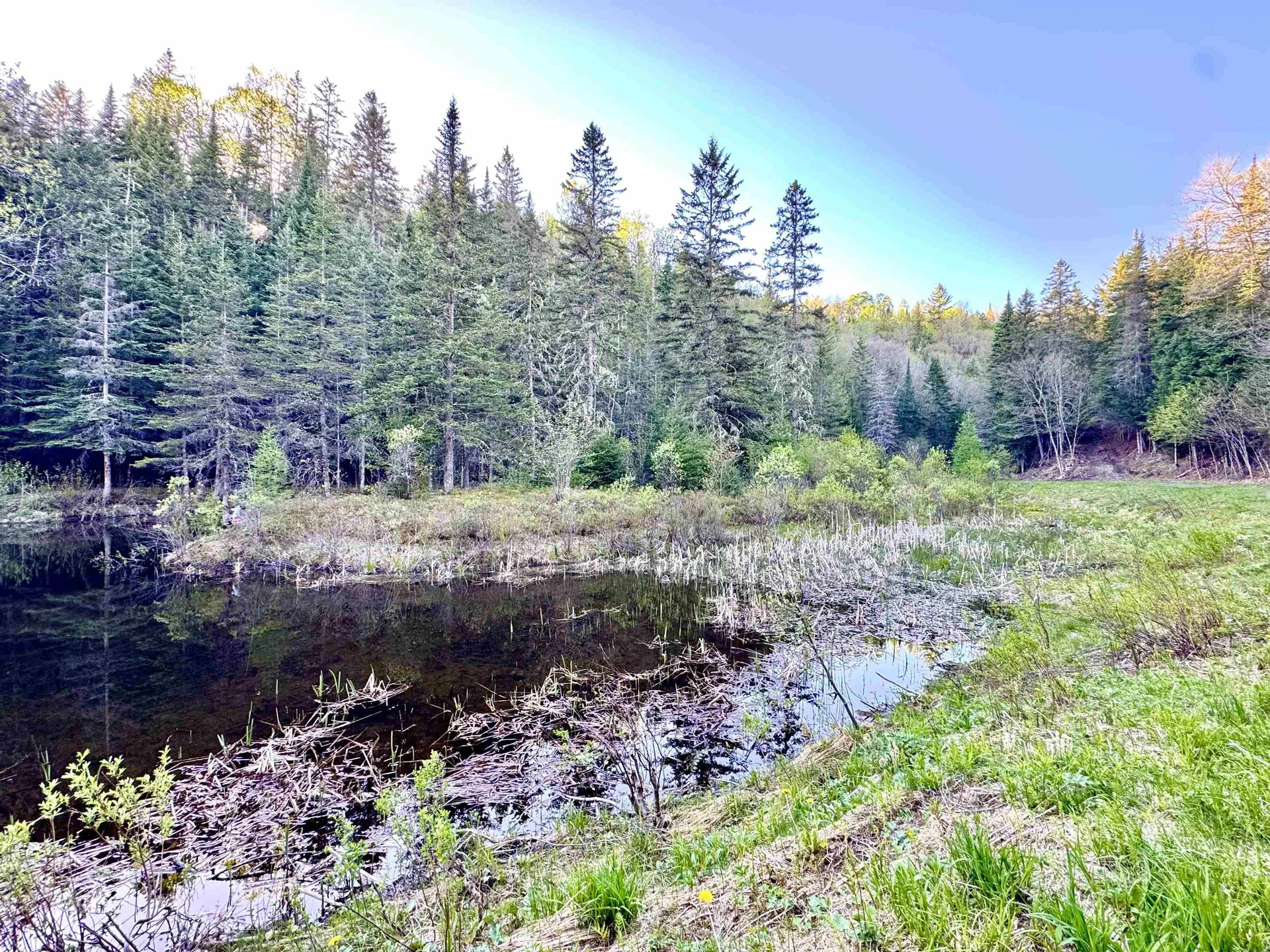 Lot 8 Gulch Brook Road Stewartstown NH 03576
