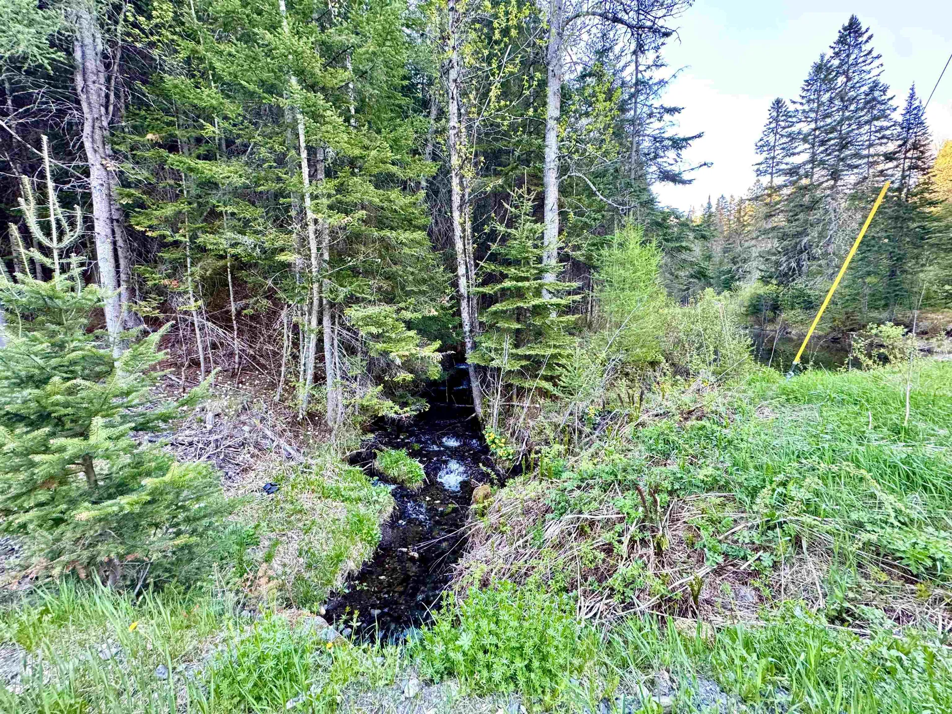 Lot 8 Gulch Brook Road Stewartstown NH 03576