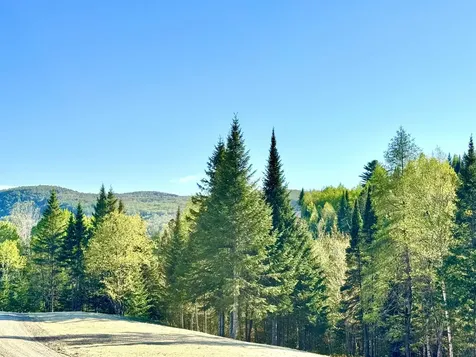 Lot 8 Gulch Brook Road Stewartstown NH 03576