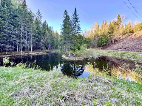 Lot 8 Gulch Brook Road Stewartstown NH 03576