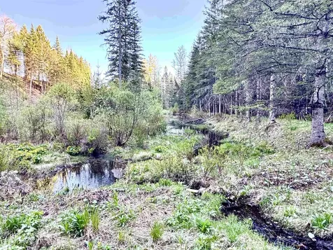 Lot 8 Gulch Brook Road Stewartstown NH 03576