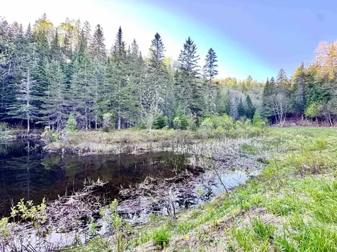 Lot 8 Gulch Brook Road Stewartstown NH 03576