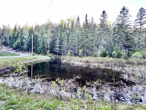 Lot 8 Gulch Brook Road Stewartstown NH 03576