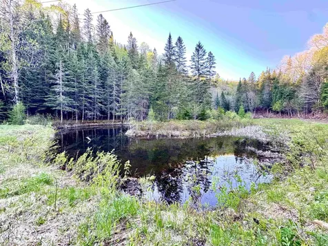 Lot 8 Gulch Brook Road Stewartstown NH 03576