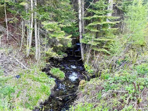 Lot 8 Gulch Brook Road Stewartstown NH 03576