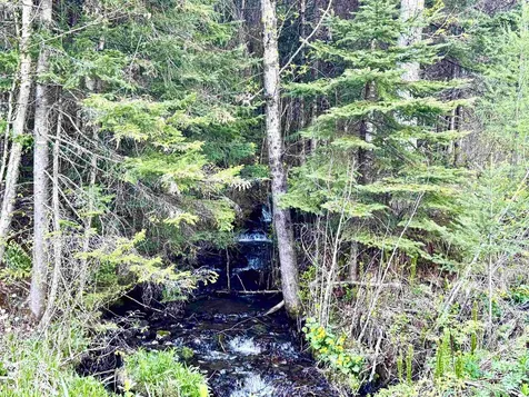 Lot 8 Gulch Brook Road Stewartstown NH 03576