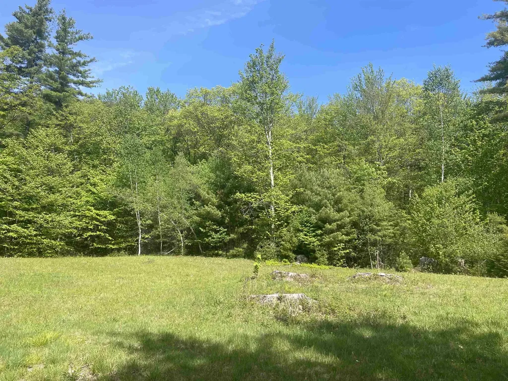 491 Whitneyville Road Halifax VT 05358