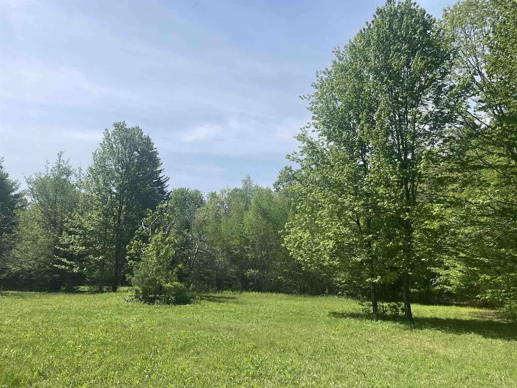 491 Whitneyville Road Halifax VT 05358