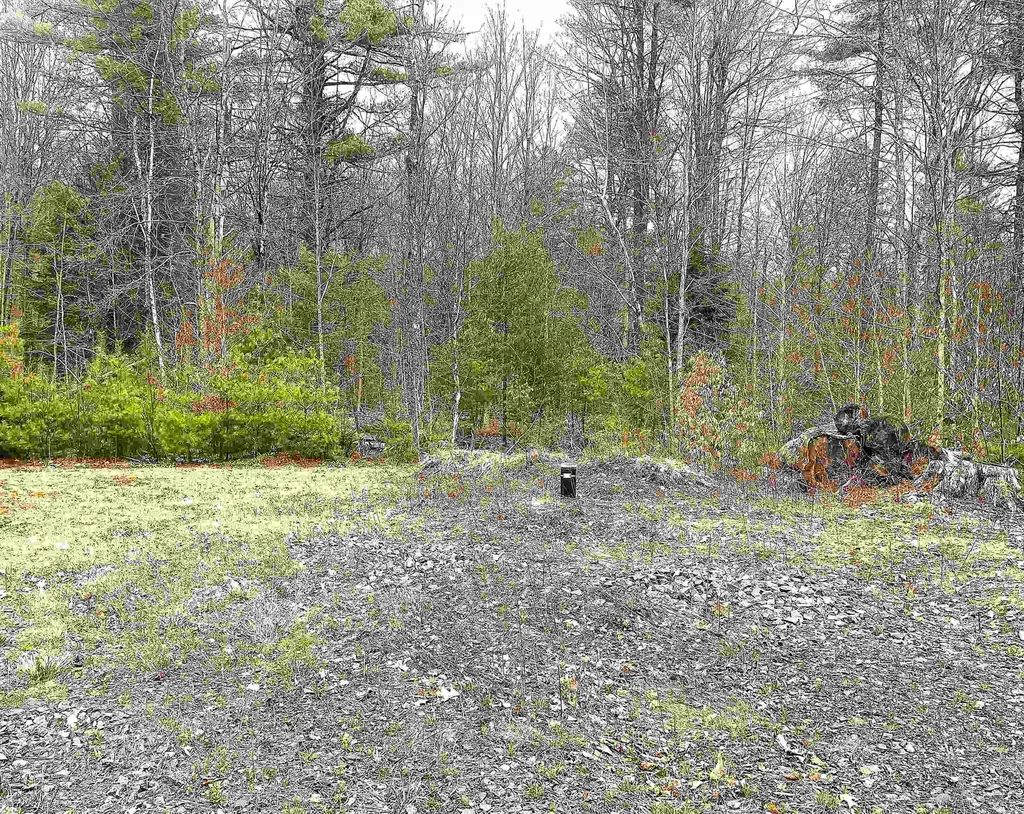 491 Whitneyville Road Halifax VT 05358