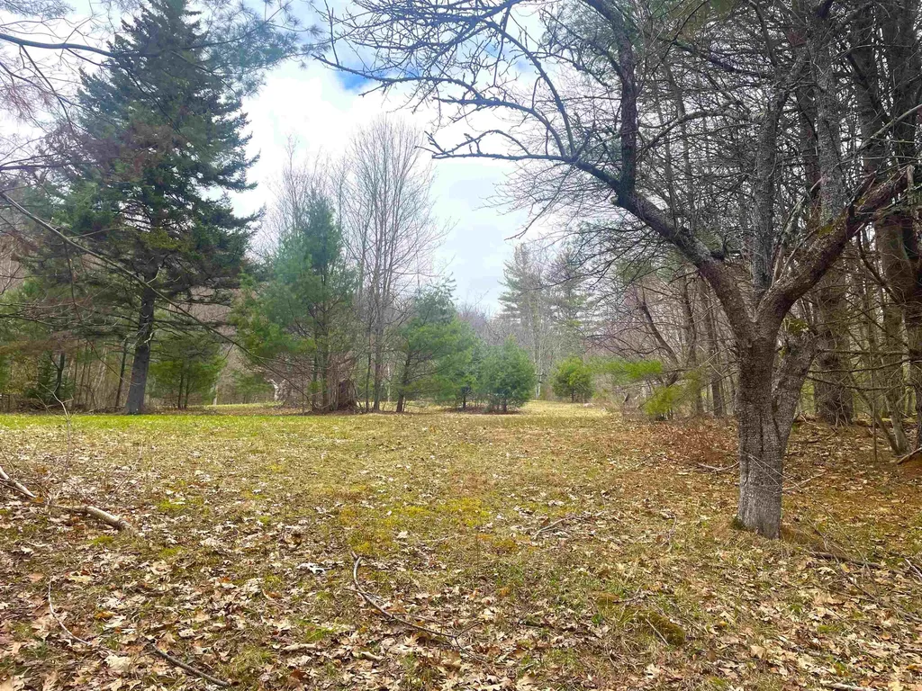 491 Whitneyville Road Halifax VT 05358