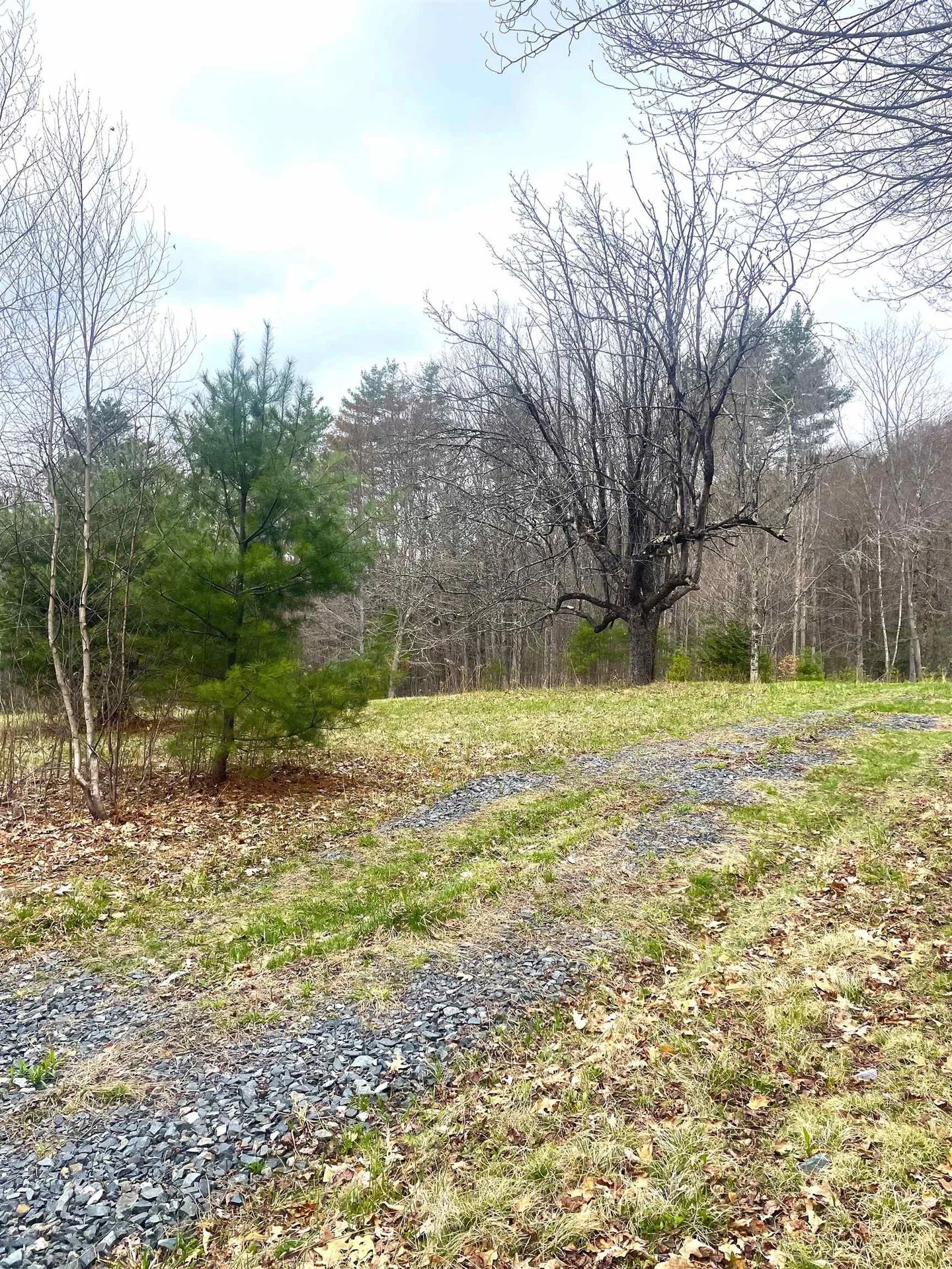 491 Whitneyville Road Halifax VT 05358