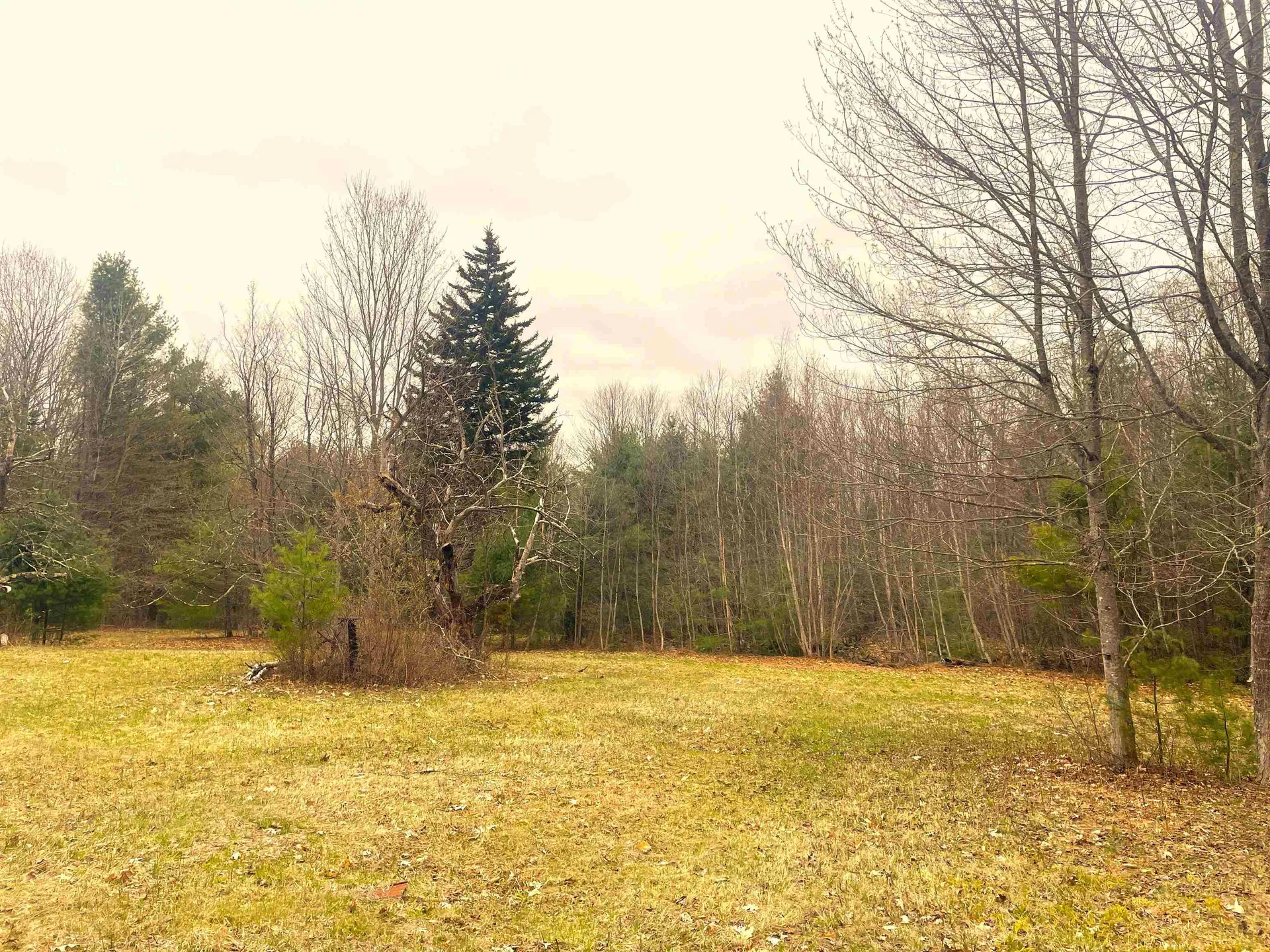491 Whitneyville Road Halifax VT 05358