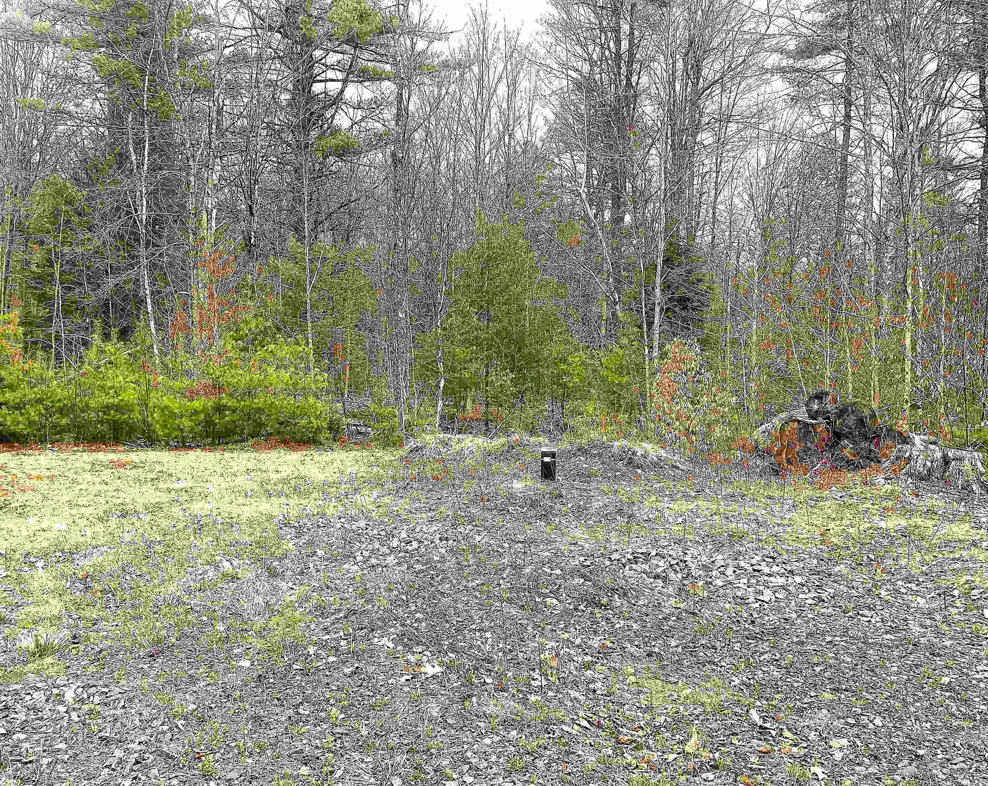 491 Whitneyville Road Halifax VT 05358