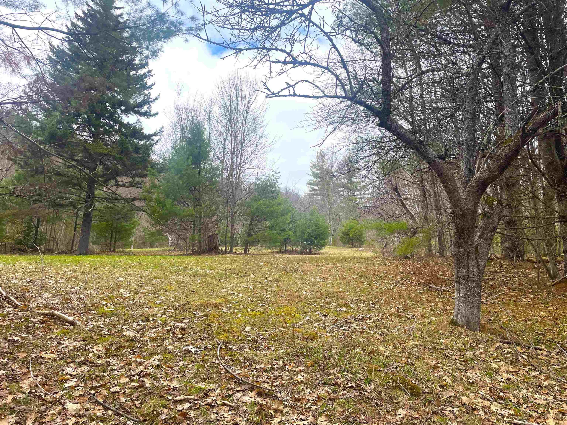 491 Whitneyville Road Halifax VT 05358