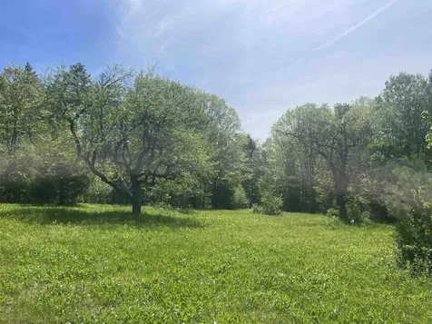 491 Whitneyville Road Halifax VT 05358