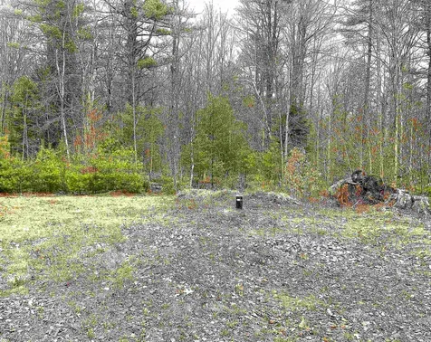 491 Whitneyville Road Halifax VT 05358