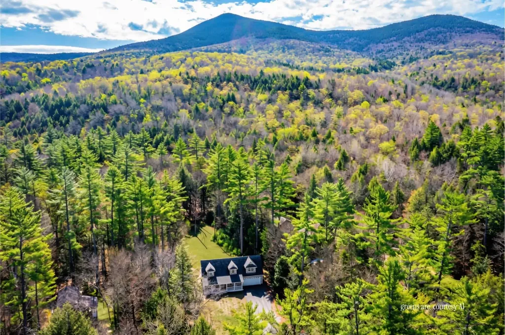 458 Town Hall Road Bartlett NH 03845