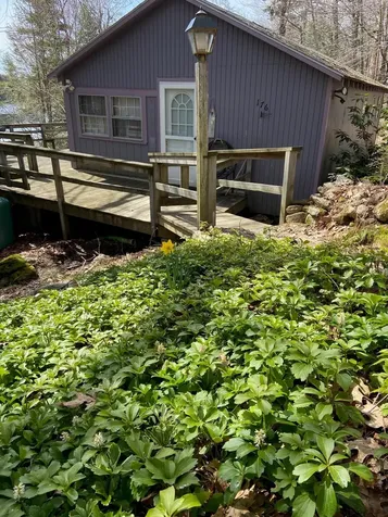 176 Upper Pratt Pond Road New Ipswich NH 03071