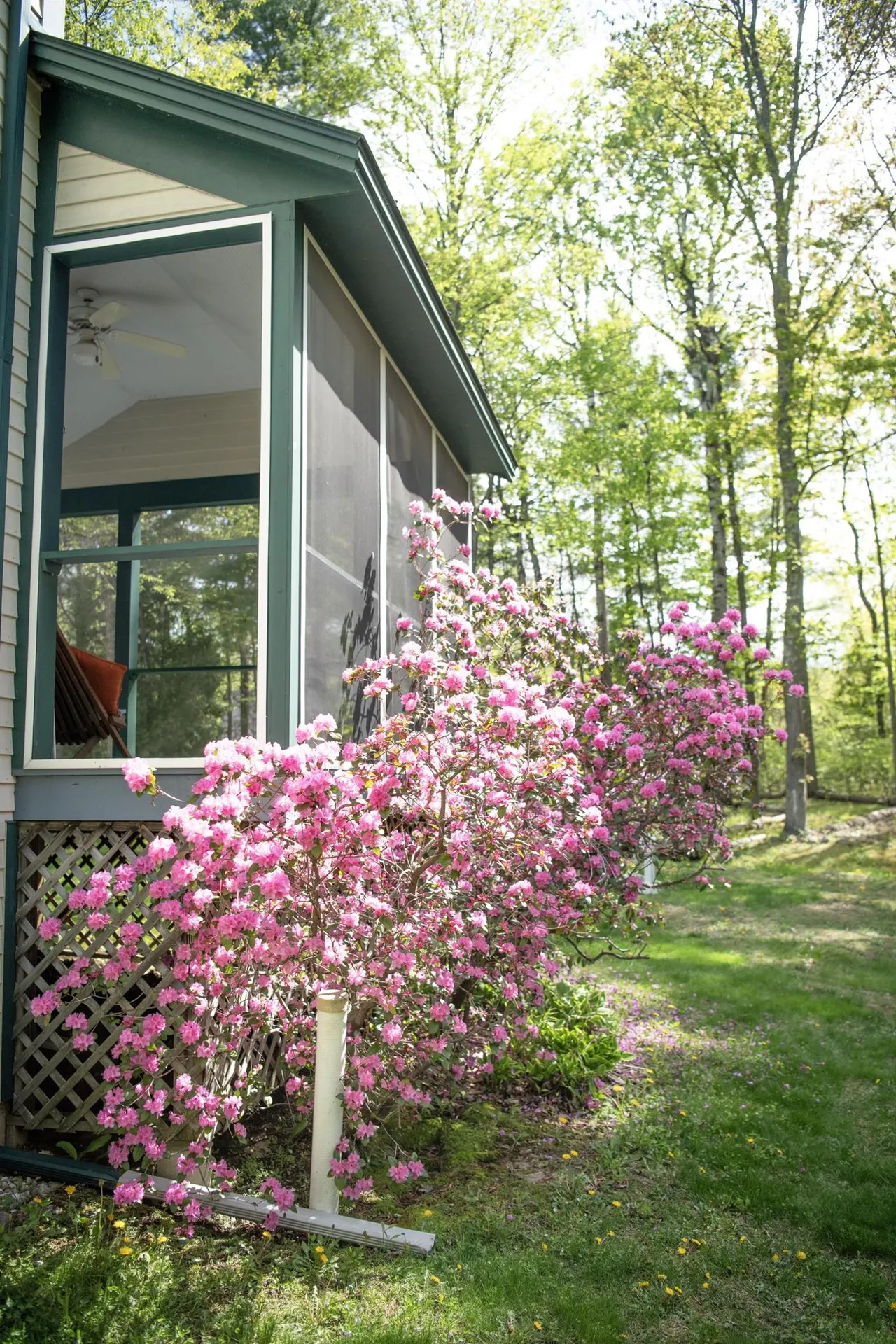 64 Stonegate Lane Shelburne VT 05482