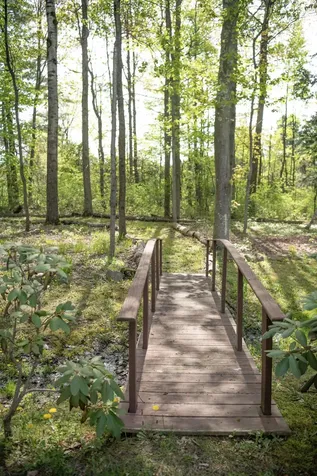 64 Stonegate Lane Shelburne VT 05482